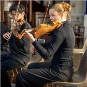 Étudiante en conservatoire, je cherche à donner des cours à domicile à des débutants sur Rouen.